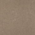 CORAL CLAY